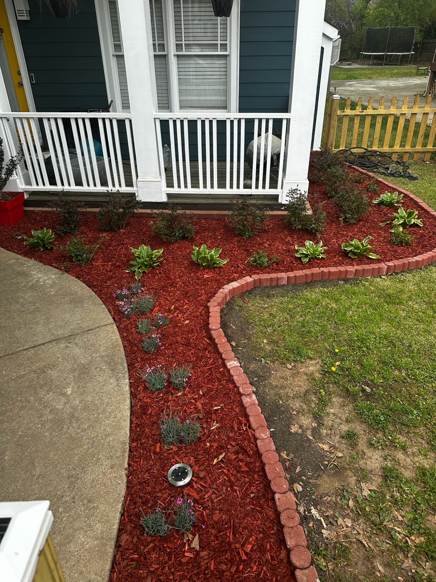 Clean red mulch with hostas and brick border
