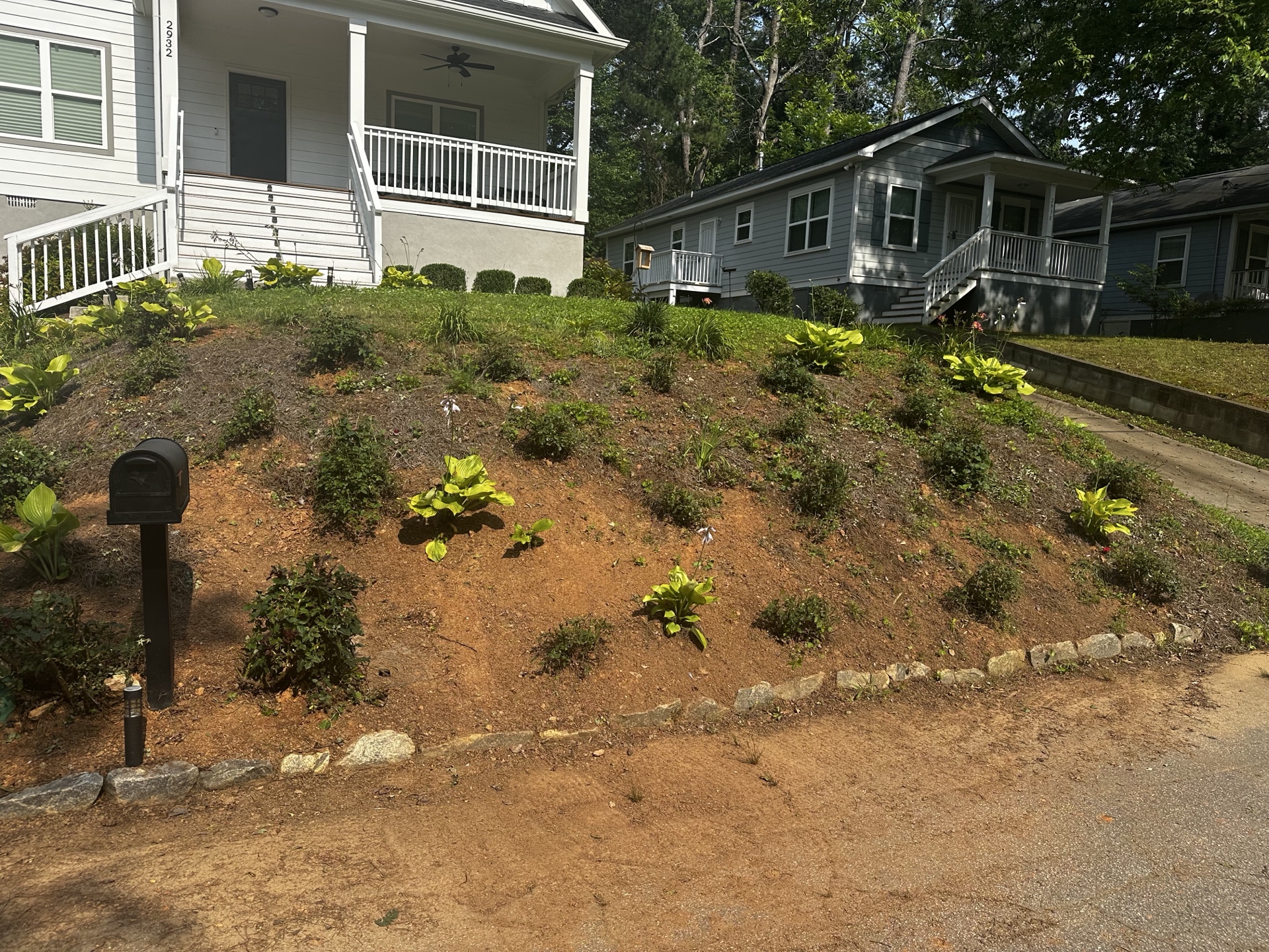 Hillside with exposed clay and sparse plants