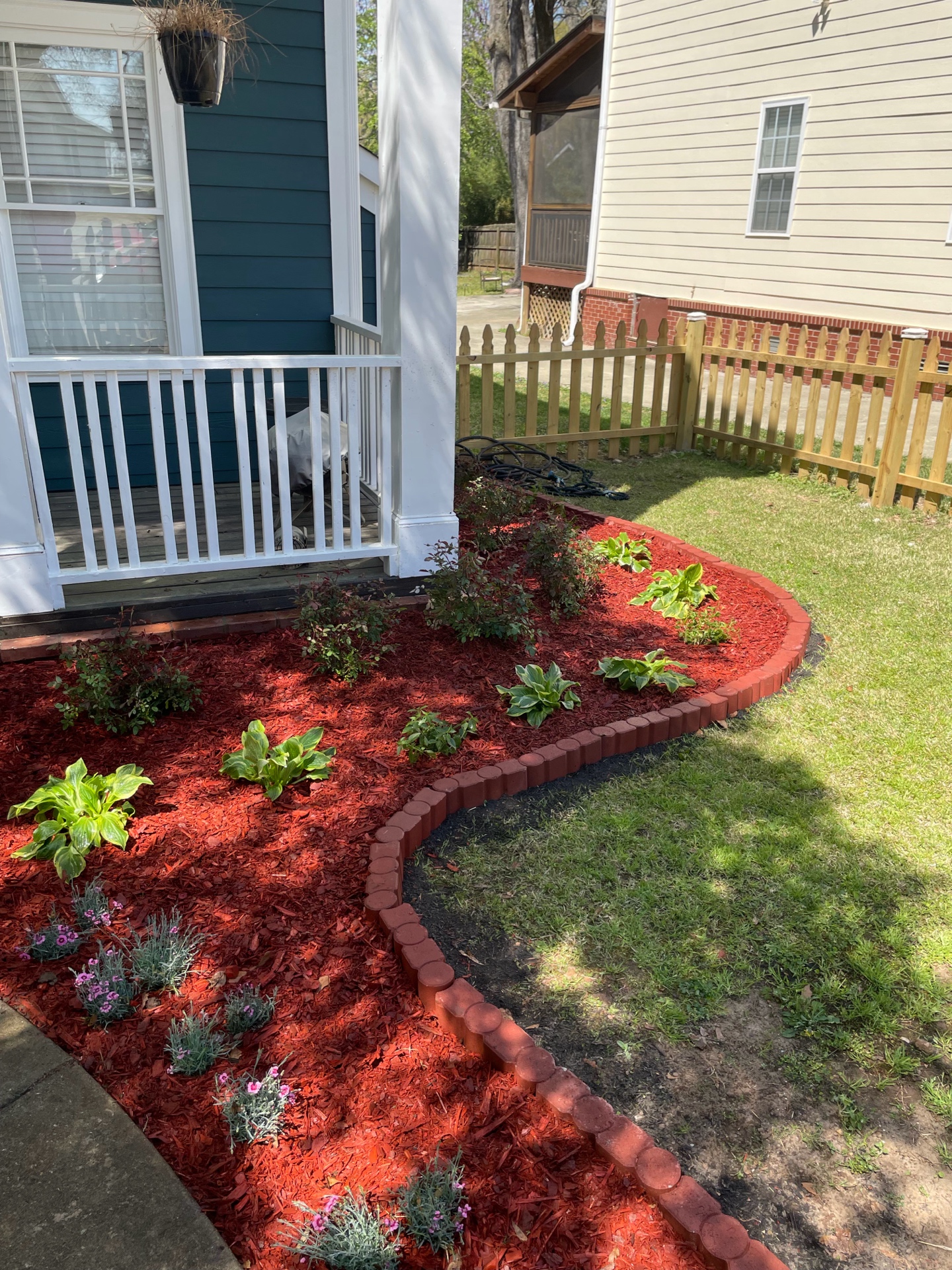 Garden bed with hostas and red mulch