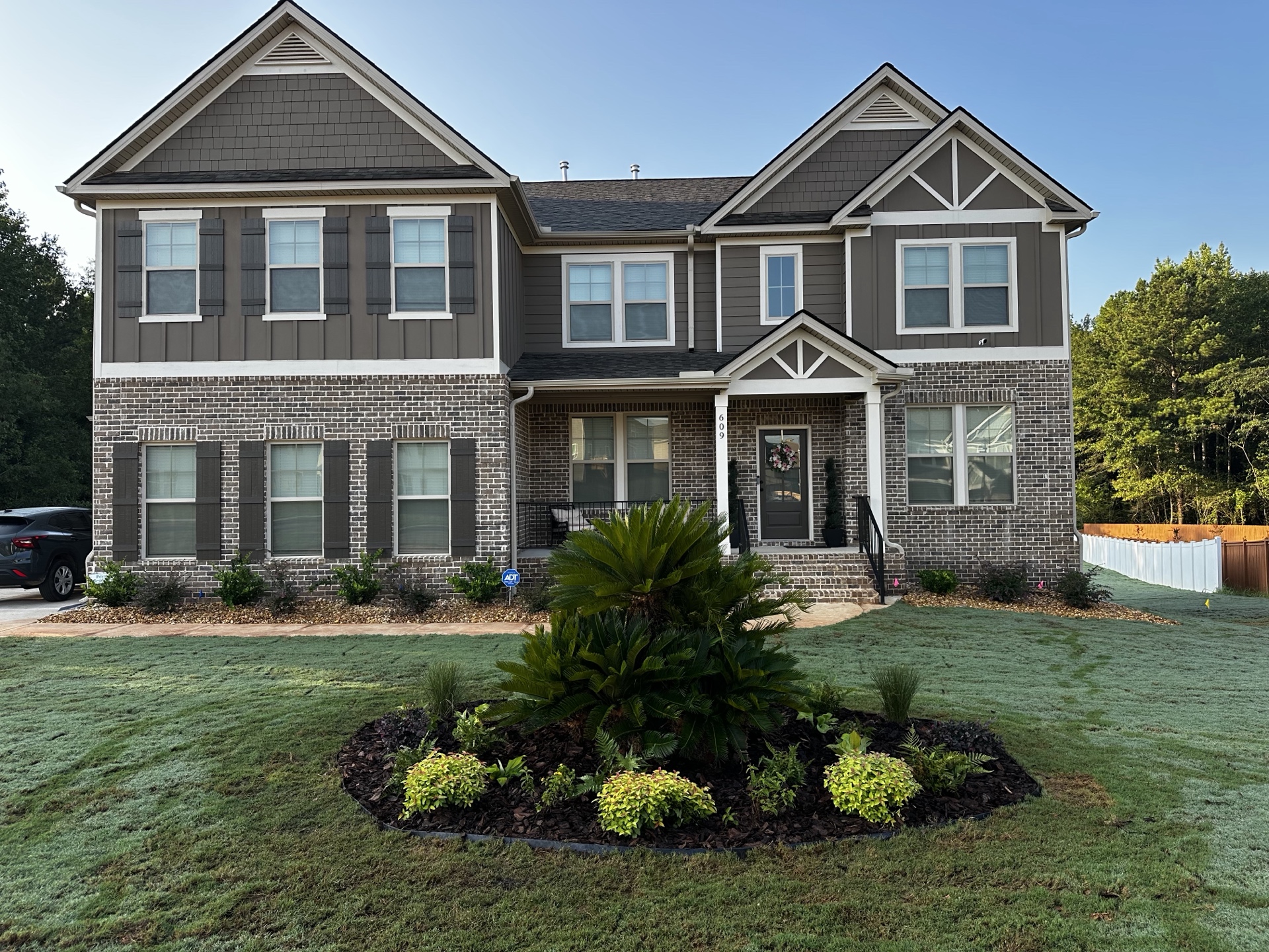 Beautiful palm tree with mulch bed and shrubs