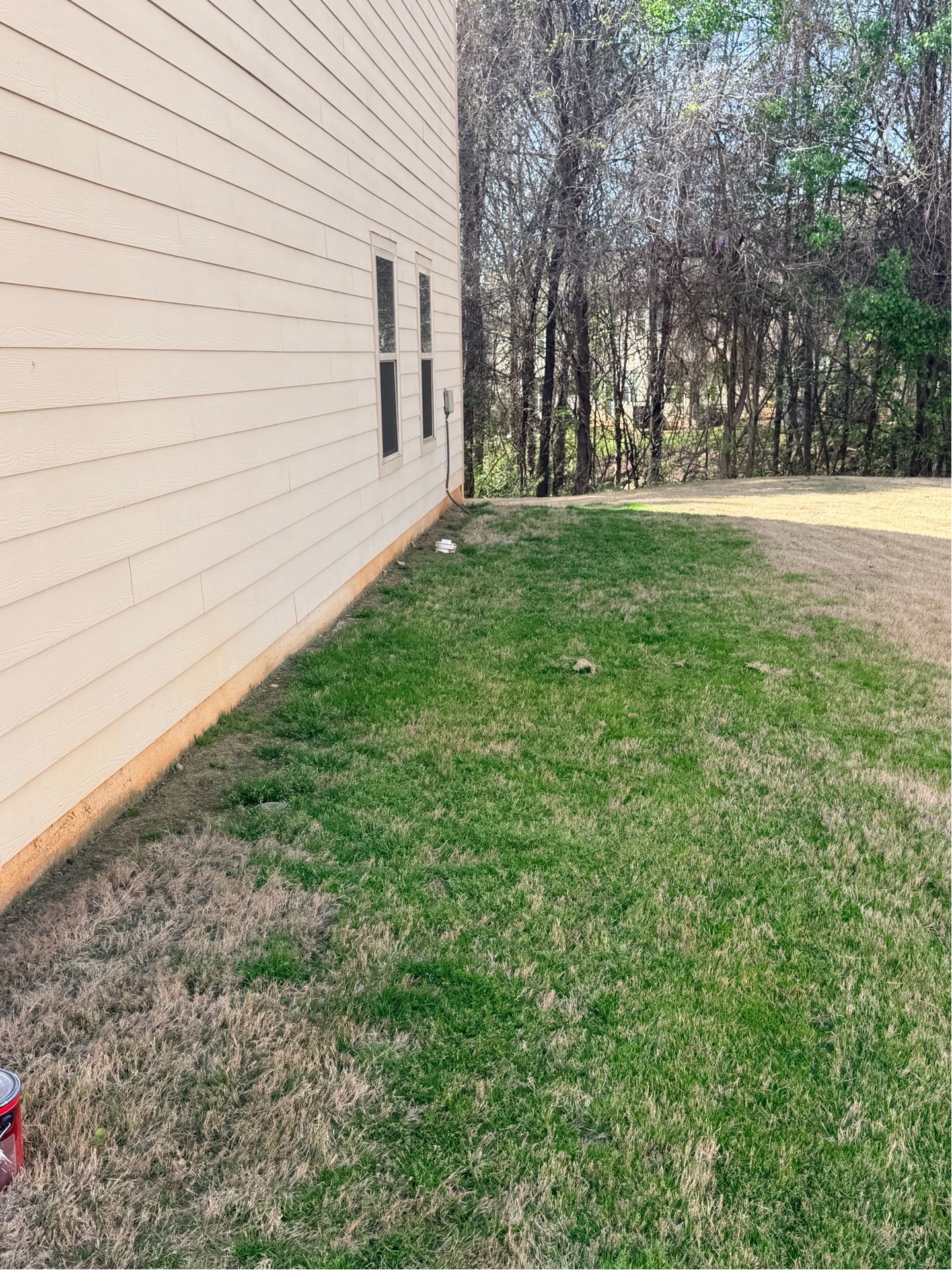 Bare side yard with just grass along house