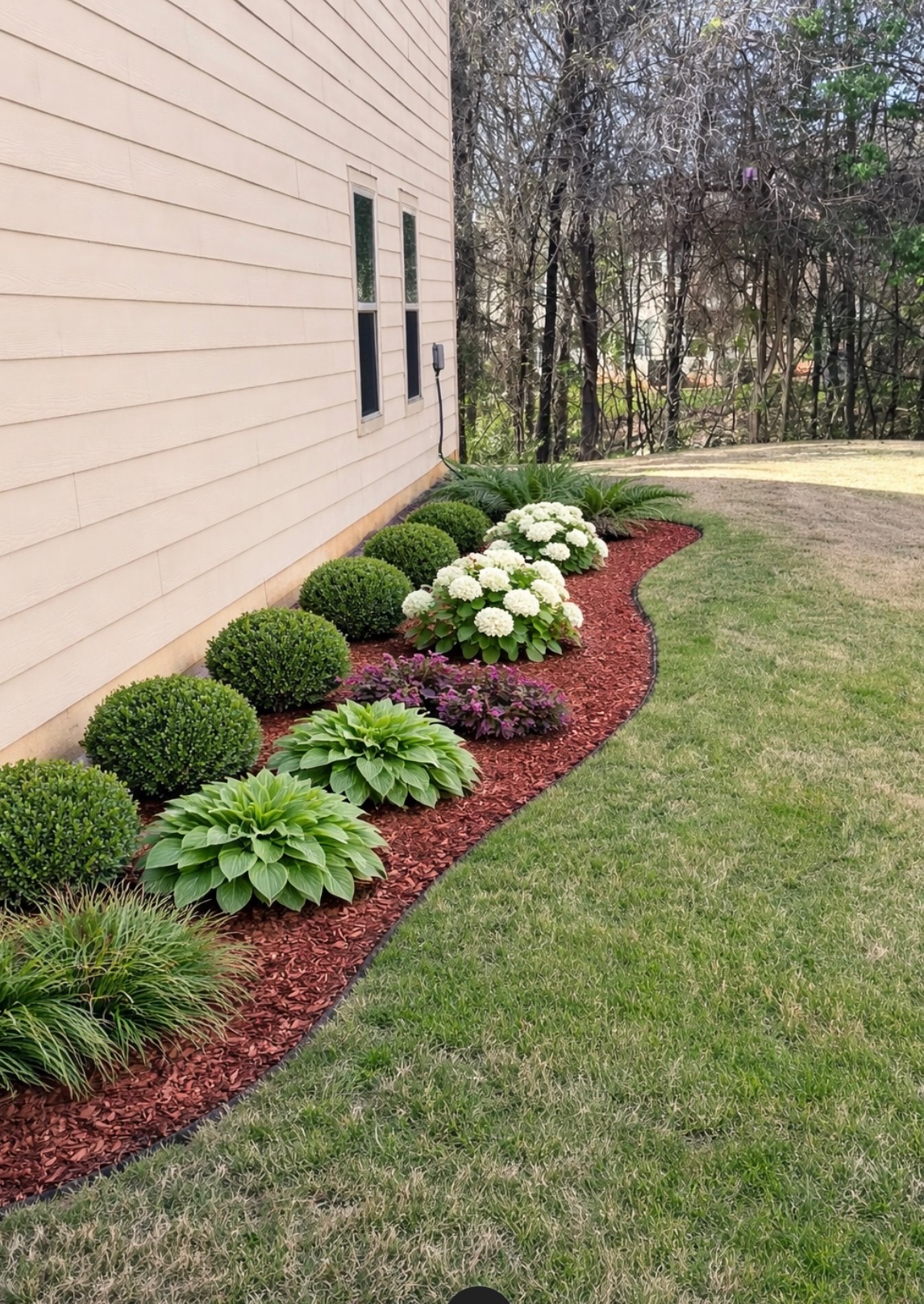 Curved garden bed with boxwoods, hostas, and hydrangeas