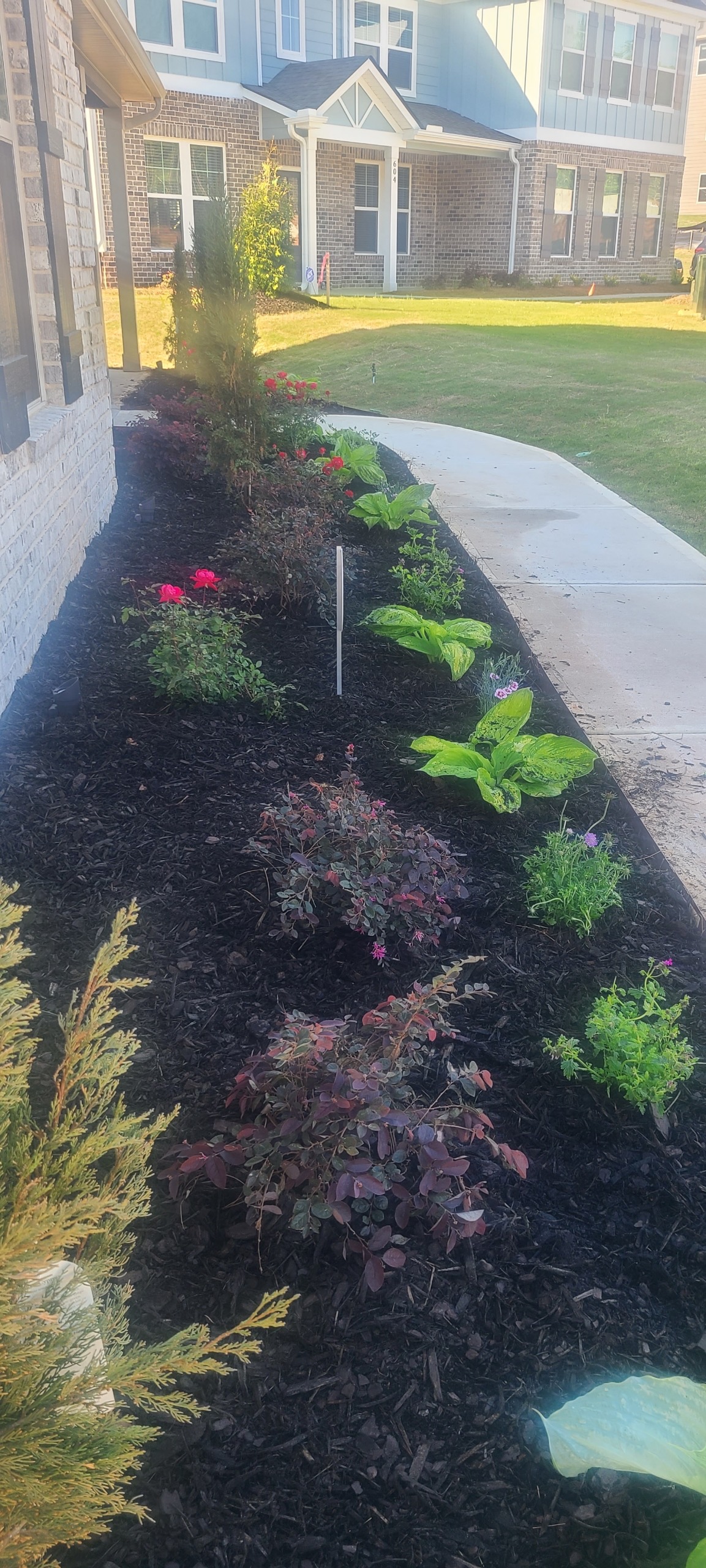 Landscaped flower bed along walkway